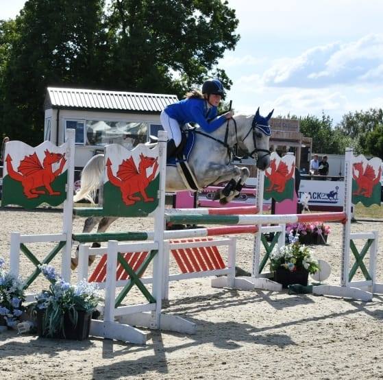 Triple D Showjumping Ponies